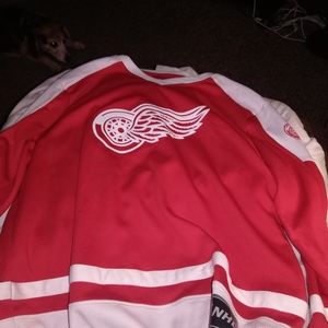Lightly Used NHL red wings jersey